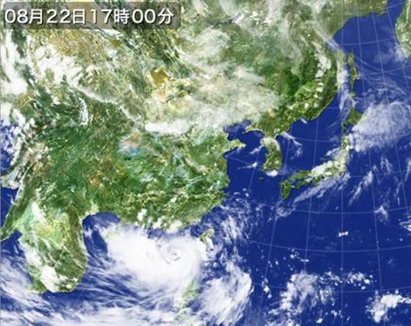 臺風天鴿香港最新消息，全方位應對與實時更新
