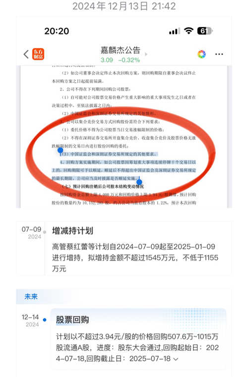 嘉麟杰最新消息深度解析