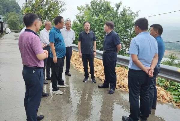 范學臣在廣元，最新消息與深度解讀