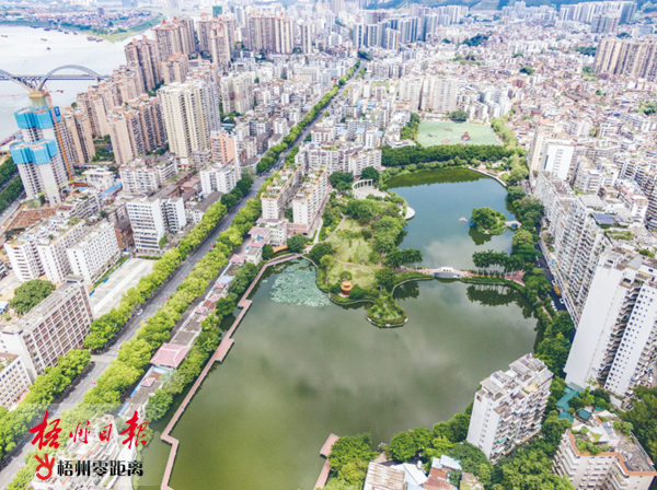梧州零距離網最新新聞，城市發展的脈搏與民生熱點