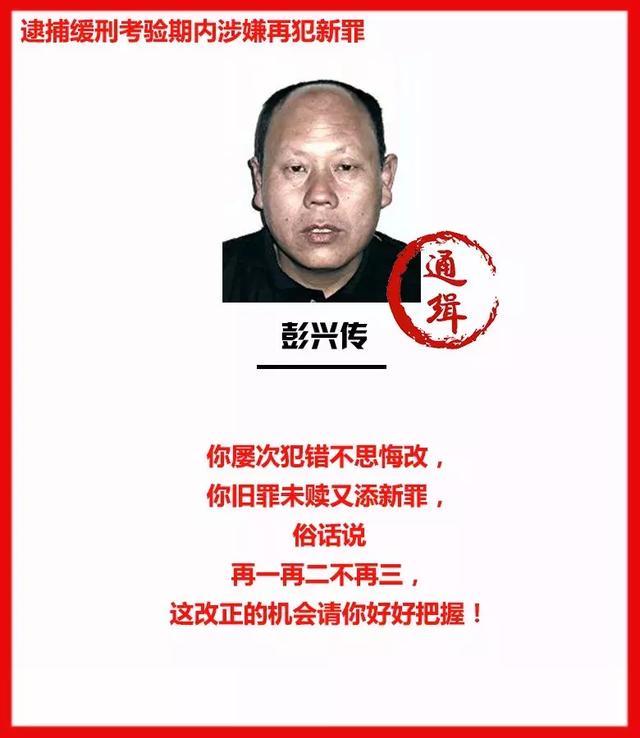 萊州公安局最新通緝令，正義與安全的守護者的堅定決心