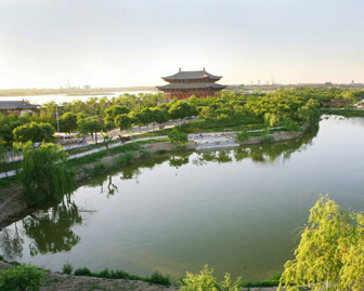 虞城森林公園最新消息