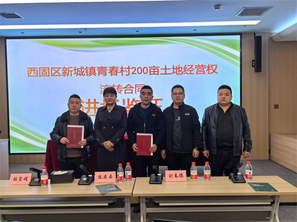 西固新城鎮最新消息全面解讀