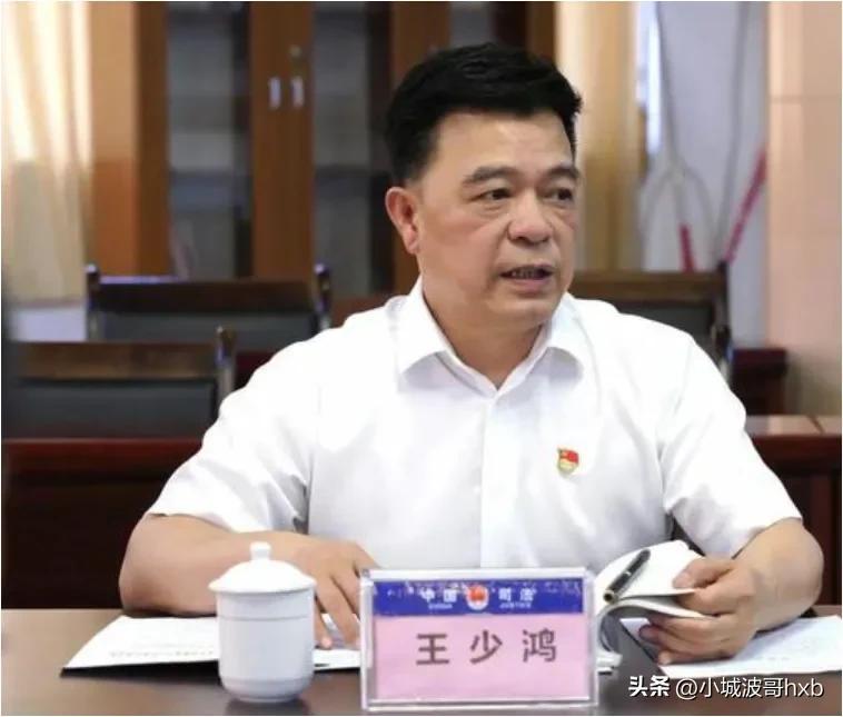揭陽王少鴻最新消息，一位風云人物的崛起與影響