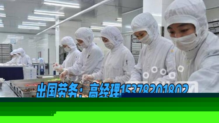 出國打工招聘網最新招聘動態深度解析