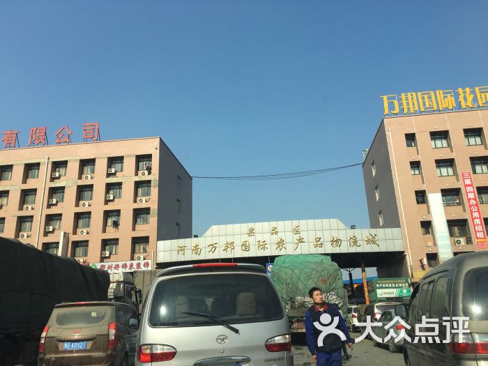 萬邦疏菜批發最新價格概覽