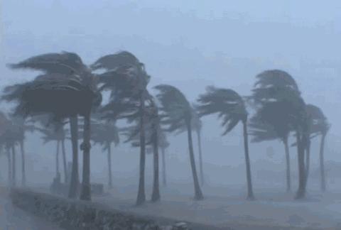 廣西四號臺風最新消息，風雨中的緊急應對與全面準備