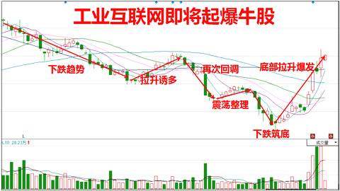 普路通股票最新消息全面解析