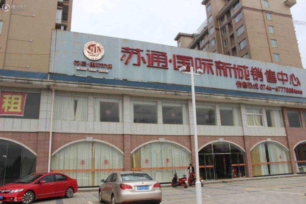 零陵蘇通國際最新價格動態及分析