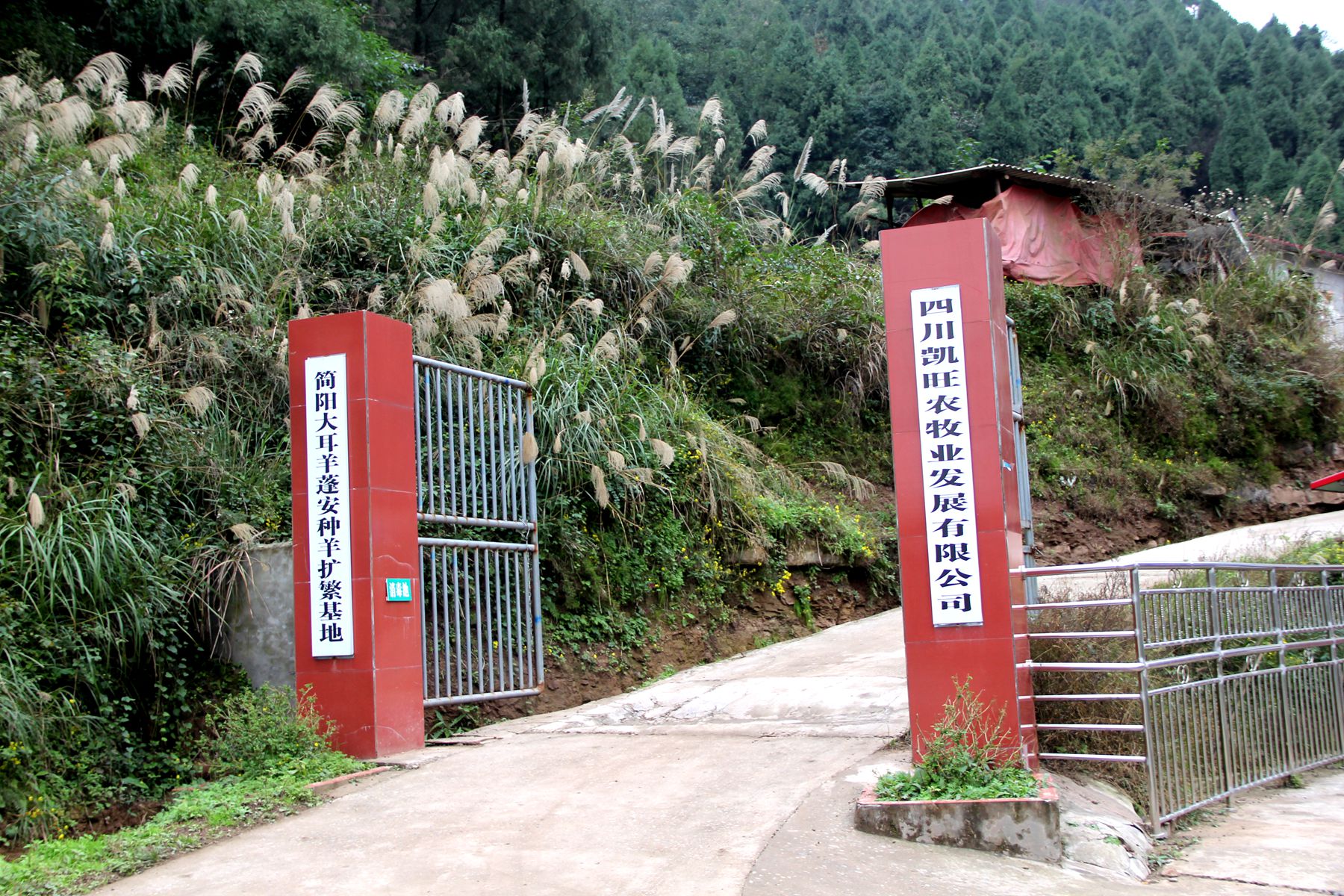 蓬安新河鄉(xiāng)最新消息