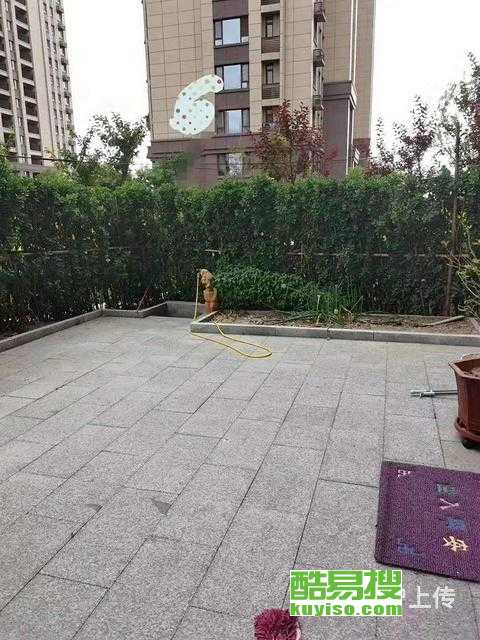 桓臺百合園最新房價動態分析