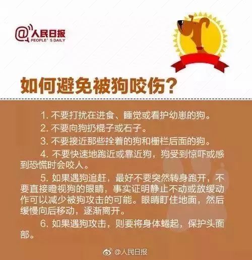 狂犬病最新新聞資訊，全球防控進(jìn)展與挑戰(zhàn)