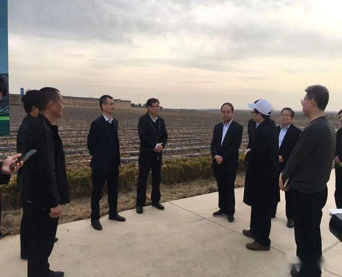 澄城魏樹槐的最新消息，探索與進(jìn)步的不懈步伐