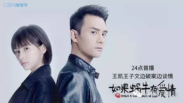 王凱電視劇最新作品，探索新時代影視的魅力