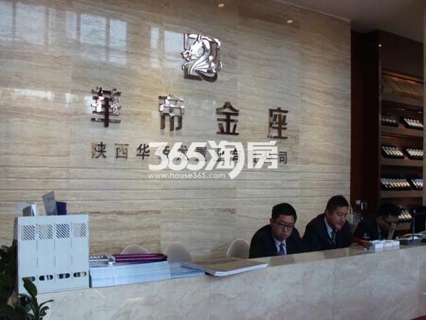 華帝金座最新消息深度解析