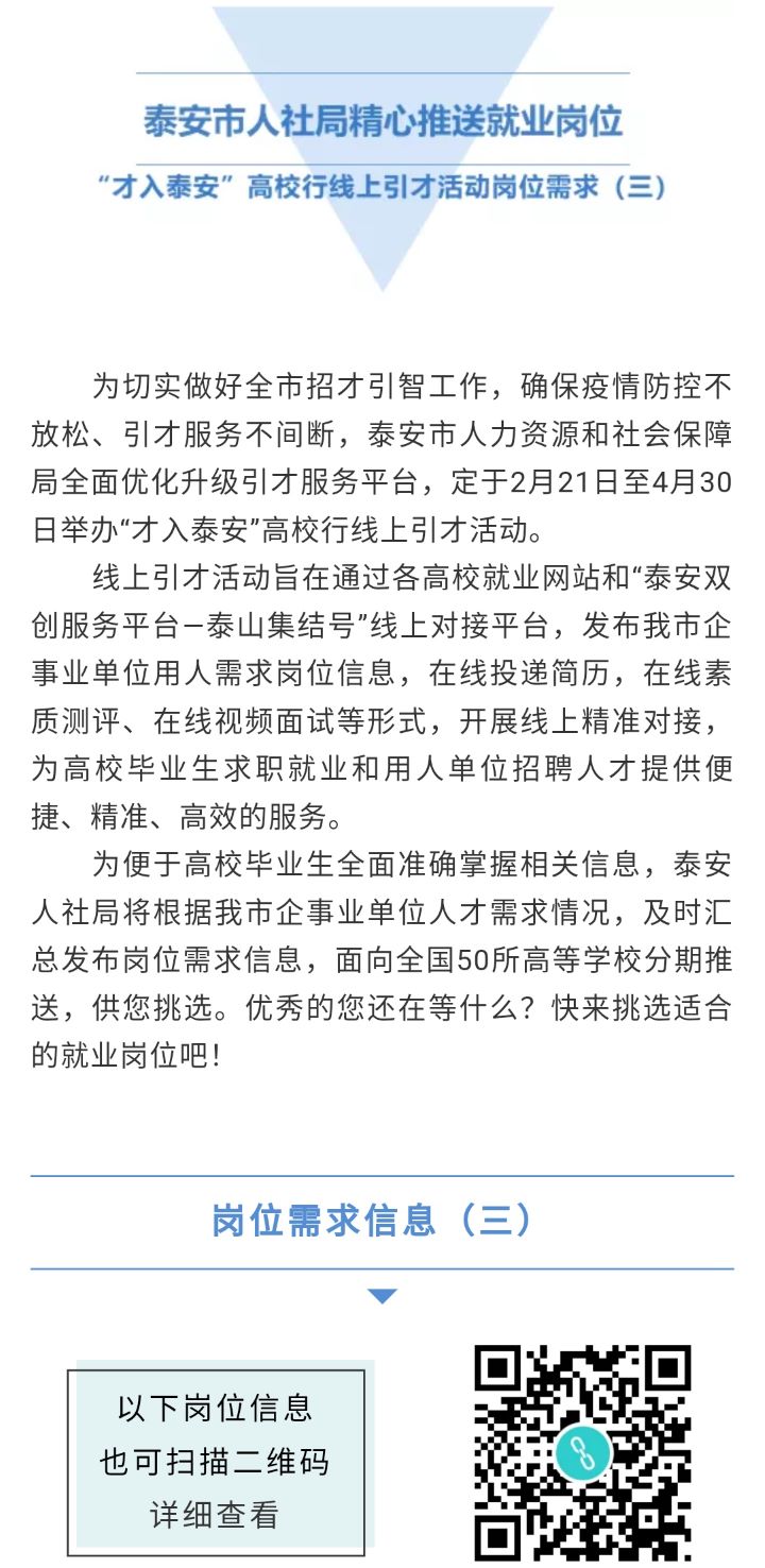 泰安齊魯人才網最新招聘動態深度解析