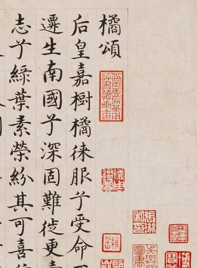 辰東新書圣墟最新章節深度解析