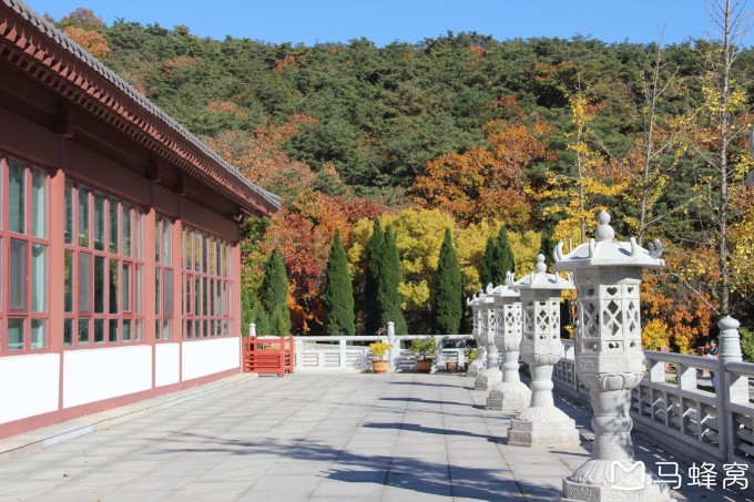 旅順?biāo)聹习徇w最新消息