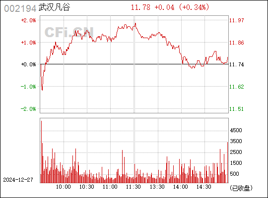 武漢凡谷股票最新消息深度解析