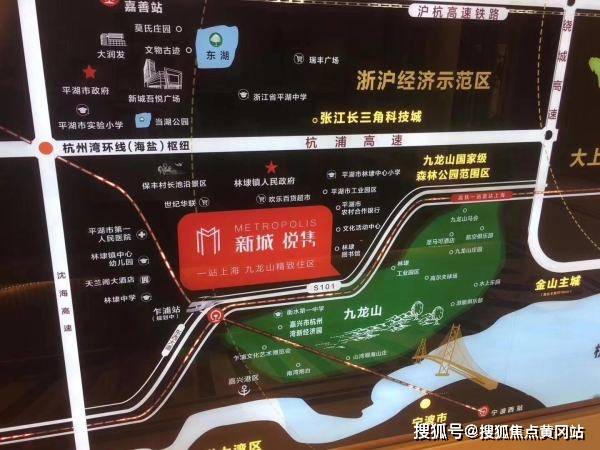 河南洋欣集團最新消息全面解析