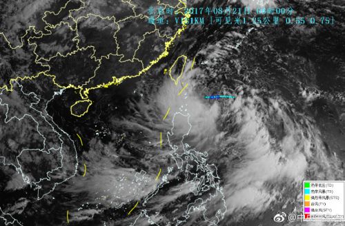 天鴿臺風最新消息視頻，實時更新與深度解析