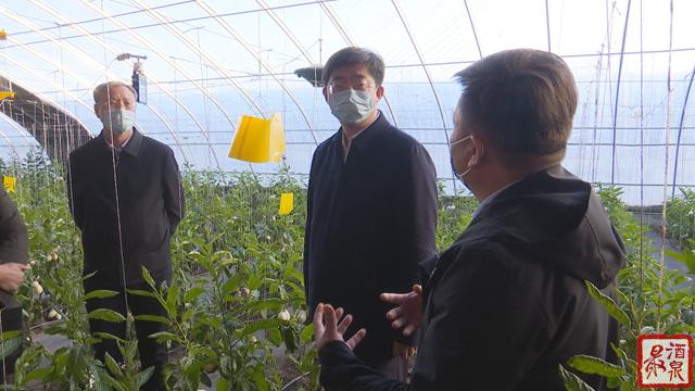 玉門艾郎風電最新招聘啟事