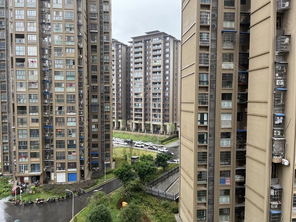 楊睿若昕