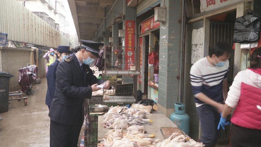 楊嘉若旭_1