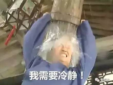 裴厲宸燕然最新章節(jié)，錯綜復(fù)雜的情感糾葛