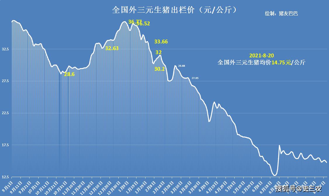 甘肅豬價(jià)今日最新消息，市場(chǎng)動(dòng)態(tài)與未來(lái)展望