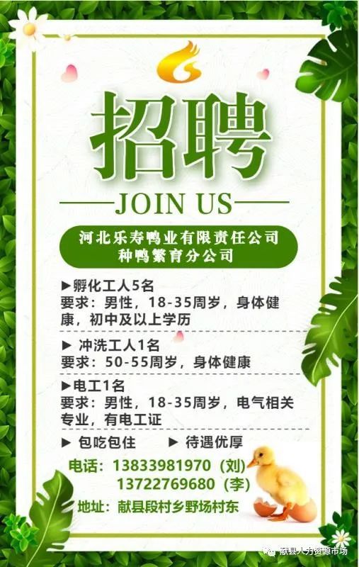 英么德最新招聘啟事，小蟲網人才招募之旅